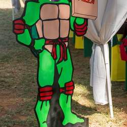 Blayne's Ninja a Turtle Party - Teenage Mutant Ninja Turtles