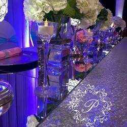 Jazmin Sweet 16 - Elegant Sweet 16