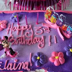 Elaina's 3rd Birthday Party - Minnie Mouse Picnic
