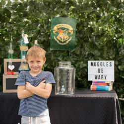 Hayden's Harry Potter 6th Birthday Party - Harry Party