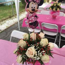 Hailey's 2nd Birthday - Ballerina Minnie Mouse