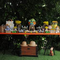 Wild Kratts Safari Birthday Party  - Safari