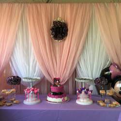 Miracle's 2nd Birthday  - Minnie Mouse 