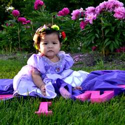Jiorgina Pink 1st Birthday - Sofia the First