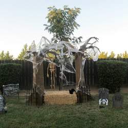 Lilly's Halloween Bash - None