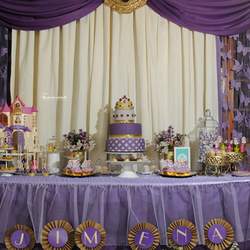 Sofia the First Rustic Chic - Sofia the First 