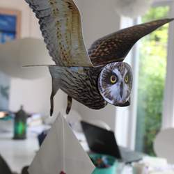 Ultimate Harry Potter Birthday Party  - Harry Potter Science Potions