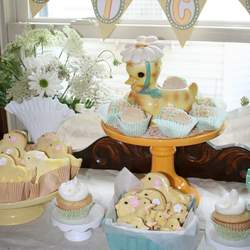 Just Hatched baby shower - baby chicks and ducks