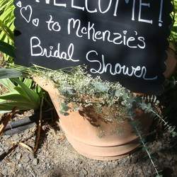 McKenzie's Garden Bridal Shower - Vintage Garden Party