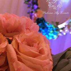 Isabella's Enchanted Forest - Enchanted Forest
