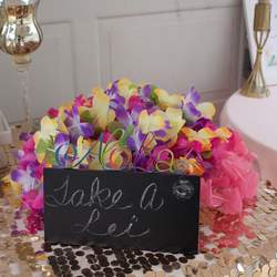 You Had Me At Aloha - Luau / Hawaiian