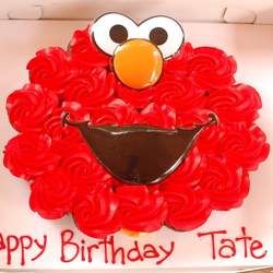 Tate's 1st Birthday! - Sesame Street