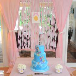 Princess Party  - Princess and Butterflies decor to match the Birthday girls custom gown!