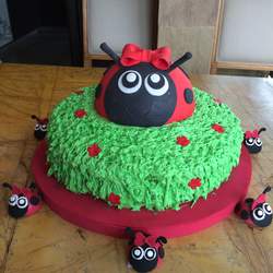 Ladybug miraculous party for Luciana  - Ladybug