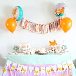 Gabriel Turns the Wild One - Fox and Friends 1st Birthday