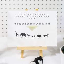 Isaiah Park's Modern Safari - Animals