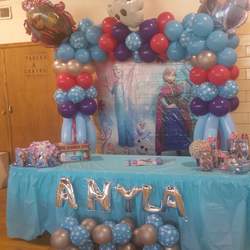 Anyla Birthday Bash  - Frozen