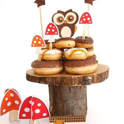 6th Birthday Party  - Woodland