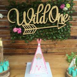 Aria's Wild One birthday  - Wild One