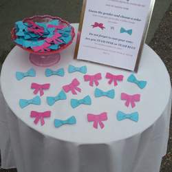 Pink or Blue Gender Reveal Party - None