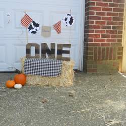 Charlie's farm 1st Birthday  - Farm/barnyard/fall