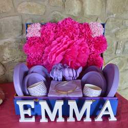 Emma's country birthday - Monster High
