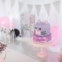 Kitty Cat Themed Party  - Cat 