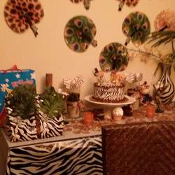 Juju's safari 3rd birthday  - Safari