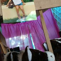 Brigitte's Cowgirl 3rd Birthday - Cowgirl