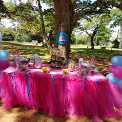 Paw Patrol Birthday Party - Paw Patrol