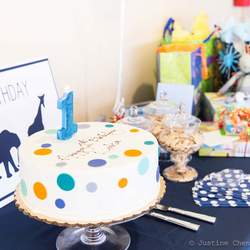 Party Animals 1st Birthday - Animals