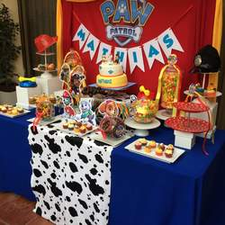 Paw patrol birthday party - Paw Patrol