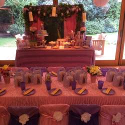 Rapunzel Birthday Party - Rapunzel / Tangled