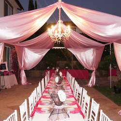 Fifty Shades of Pink Bridal Shower  - Fifty Shades of Pink 