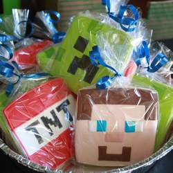 Nik's 10th Minecraft Party - Minecraft