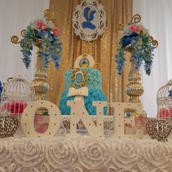 Princess Johanalys 1st Birthday - Cinderella