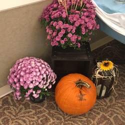 October fest  - October fest 
