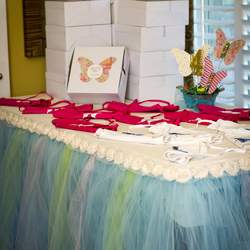 Drew's Cake Decorating Party - Butterflies