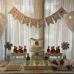 Ramiro's Woodland Baby Shower  - Animalitos del bosque