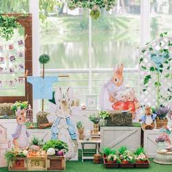 Beatrix Potter Peter Rabbit 1st birthday party - Beatrix Potter Peter Rabbit