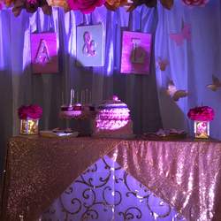 Twins Nuñez Baby Shower  - Butterflies 