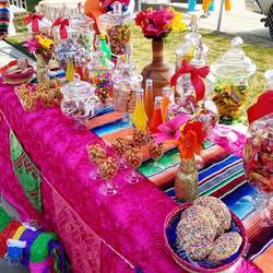 Fiesta Mexicana - Fiesta / Mexican