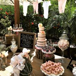 Sofia's Rustic Baby Shower - Rustic