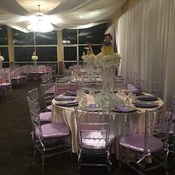 Andrea's mini Quinceañera  - Disney Princess 