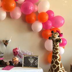 Welcoming Baby Nash - Safari