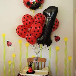 Our Little Lady Is Turning One!  - Ladybugs