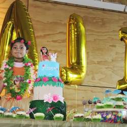 Moana Birthday Party - None