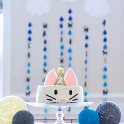 Caden's "It's Raining Cats and Dogs" Second birthday party!  - It's raining cat's and dogs