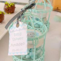 Baby Shower Amadeo - Elefante Aguamarina