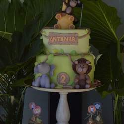 Antonia's Jungle birthday party - Jungle